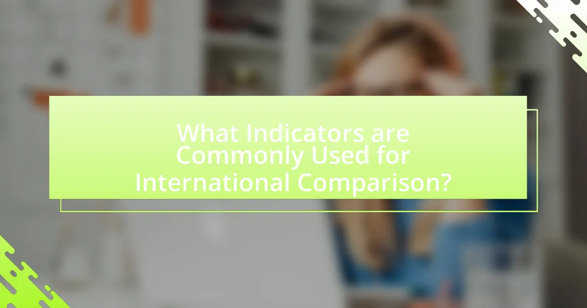What Indicators are Commonly Used for International Comparison?