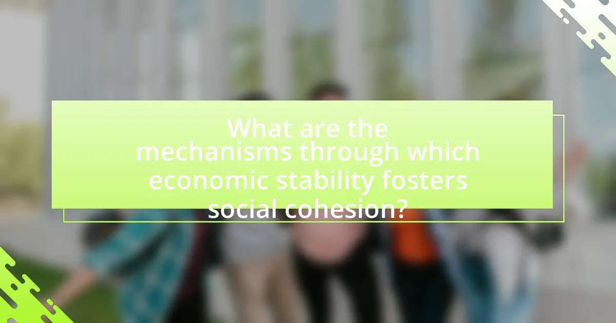 What are the mechanisms through which economic stability fosters social cohesion?