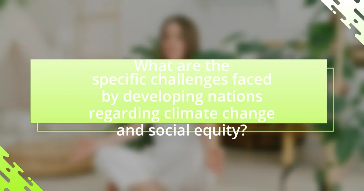 What are the specific challenges faced by developing nations regarding climate change and social equity?