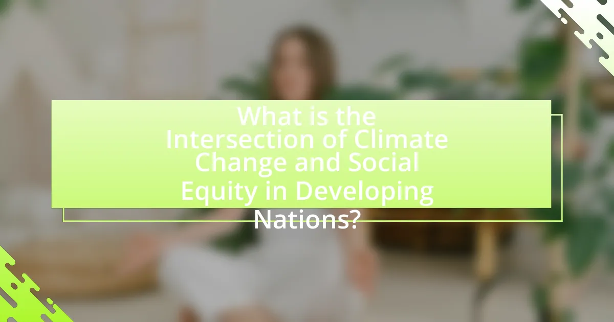 What is the Intersection of Climate Change and Social Equity in Developing Nations?