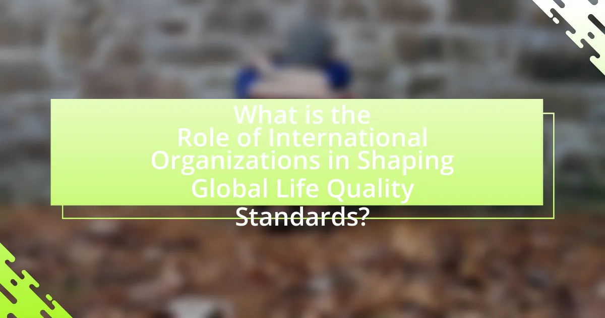 What is the Role of International Organizations in Shaping Global Life Quality Standards?