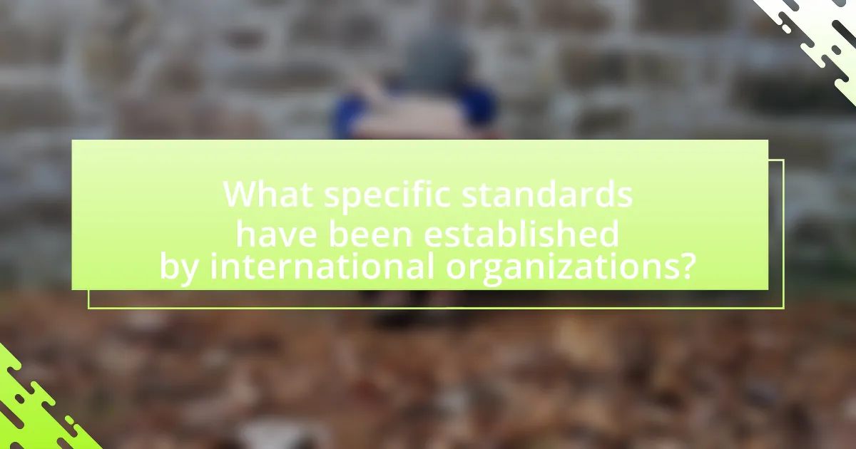 What specific standards have been established by international organizations?